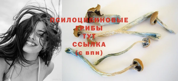mdpv Мегион