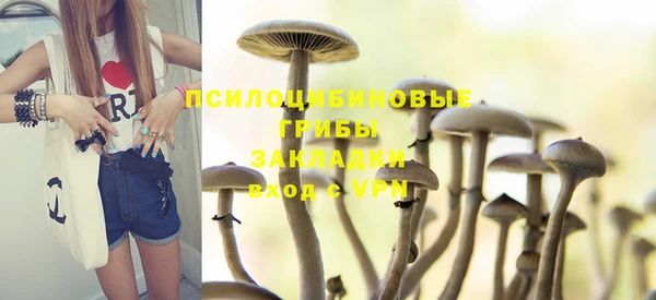 jwh Медногорск