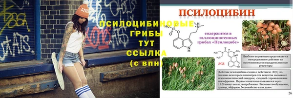 jwh Медногорск