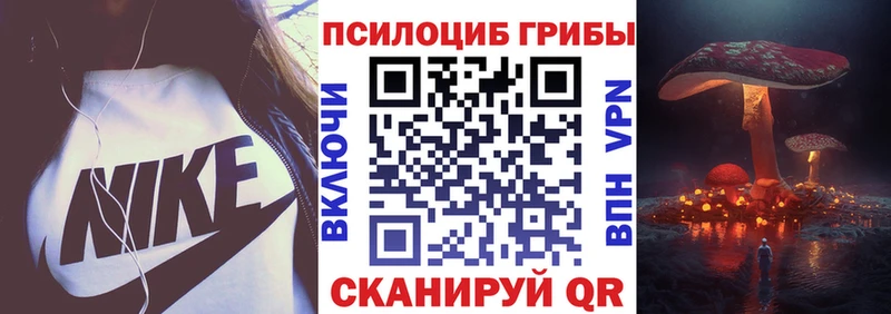 цены наркотик  Воронеж  Галлюциногенные грибы Magic Shrooms 